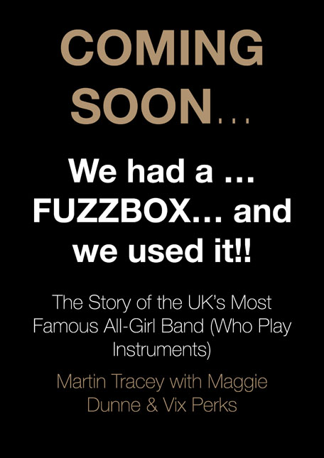 book cover Fuzzbox biography